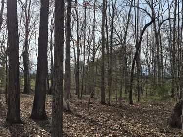 15.4 acres Stoney Run Rd , Buena Vista, VA 24416