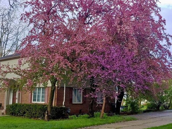 227 Lake Ave, Storm Lake, IA 50588