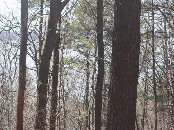 5 Crystal View Commons, Beulah, MI 49617