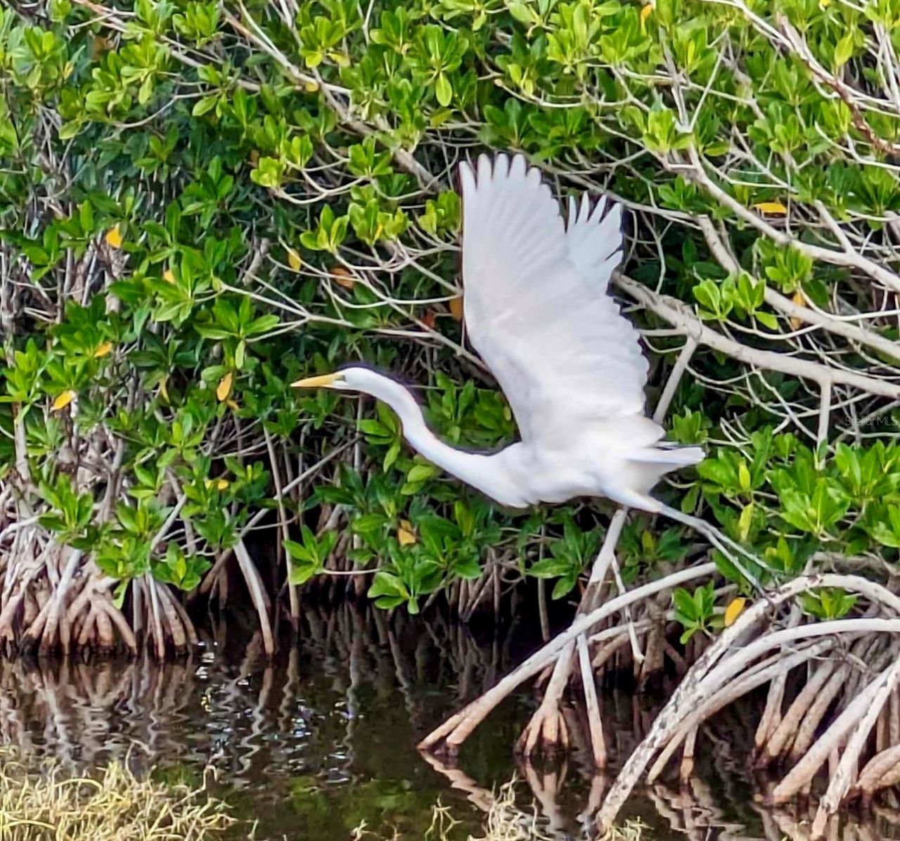 3420 1st Avenue, Saint James City, FL 33956 Photo