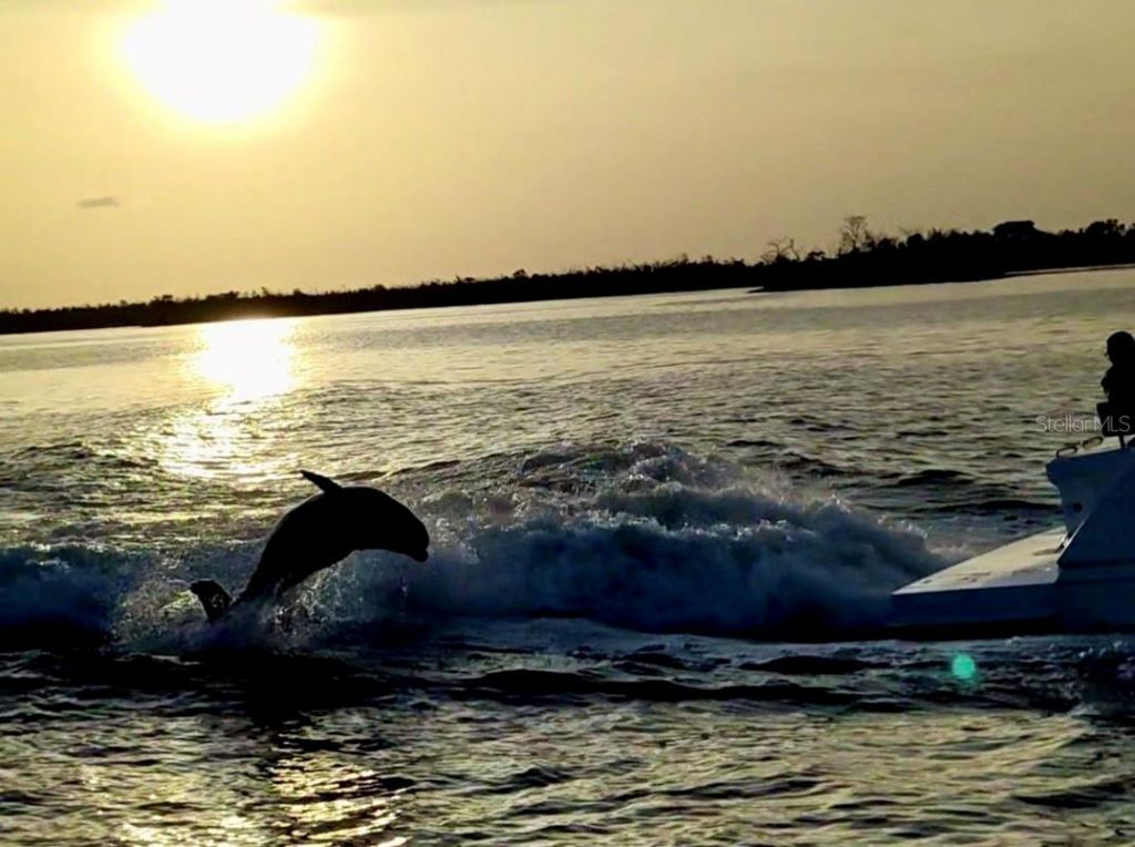 3420 1st Avenue, Saint James City, FL 33956 Photo