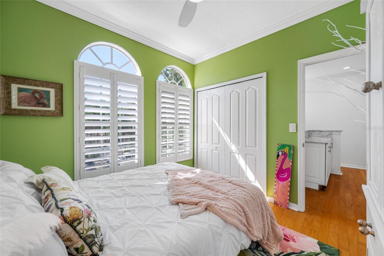 237 7th Avenue N, Unit 2, Saint Petersburg, FL 33701 Photo