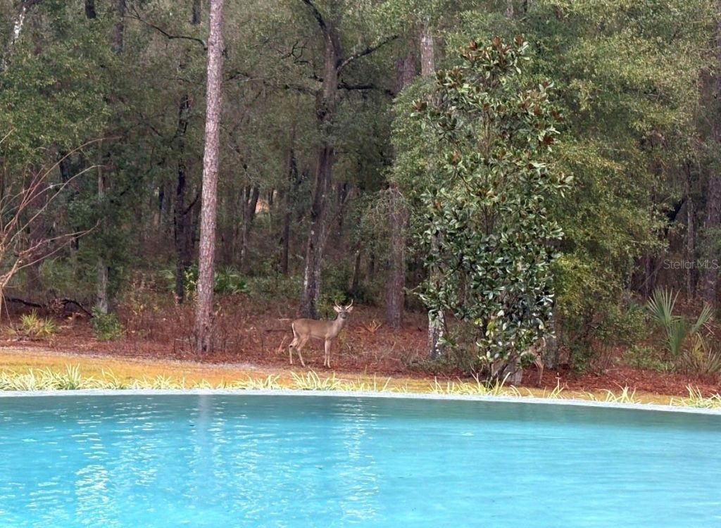 1985 Fatio Road , Deland, FL 32720 Photo