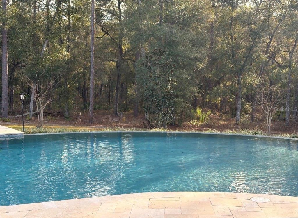 1985 Fatio Road , Deland, FL 32720 Photo