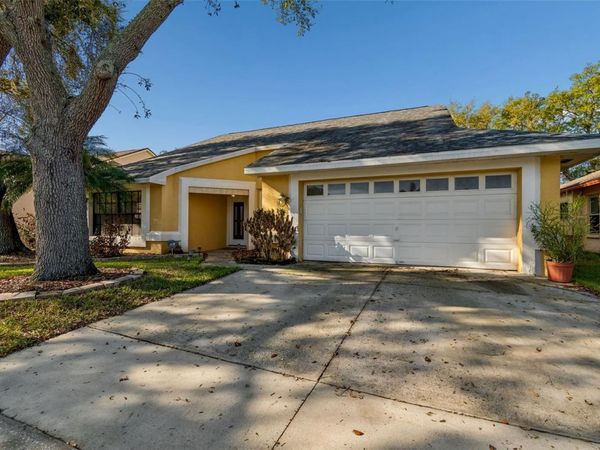 9613 CYPRESS BROOK ROAD, TAMPA, FL 33647