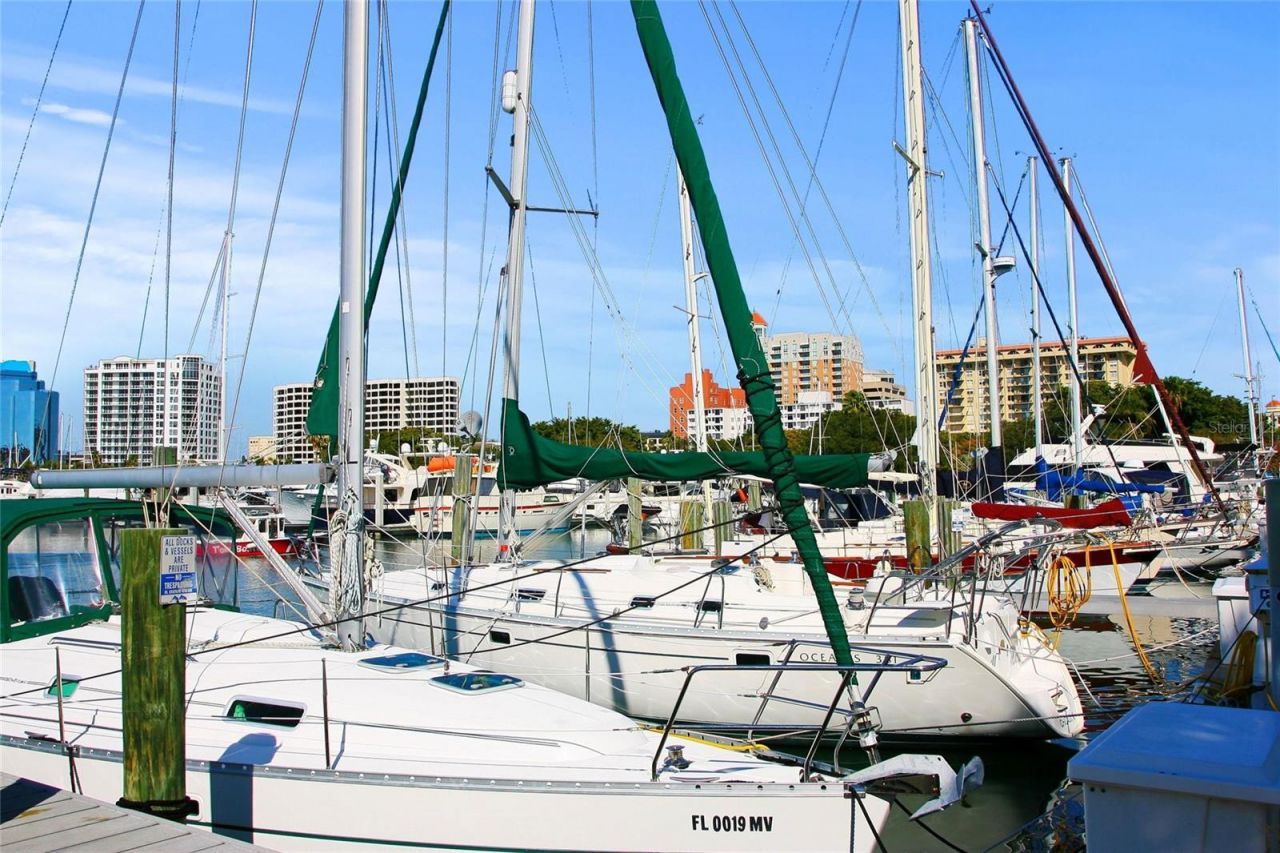 459 Wingfield Drive, Sarasota, FL 34237 Photo