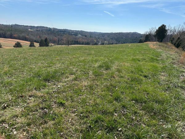 90+/-Acres Old Rhea Spring Road, Spring City, TN 37381