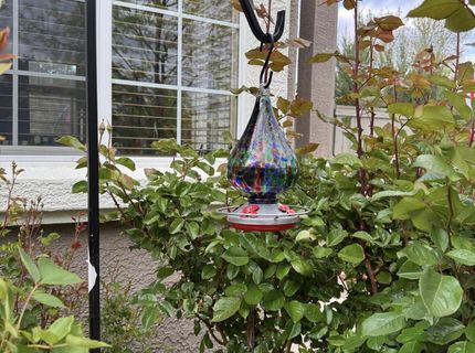 1797 Trek Trail, Reno, NV 89521 Photo