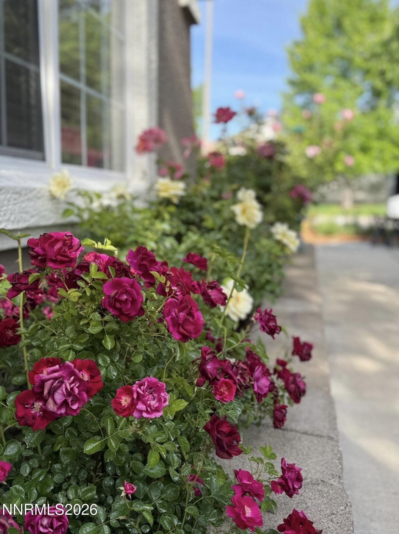 1797 Trek Trail, Reno, NV 89521 Photo