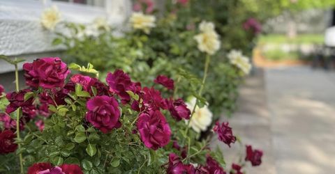 1797 Trek Trail, Reno, NV 89521 Photo