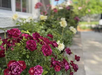 1797 Trek Trail, Reno, NV 89521 Photo