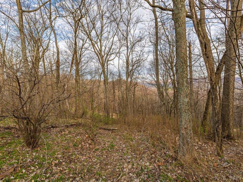 1054 Coon Hollow Road, Blue Creek, OH 45616 Photo 23