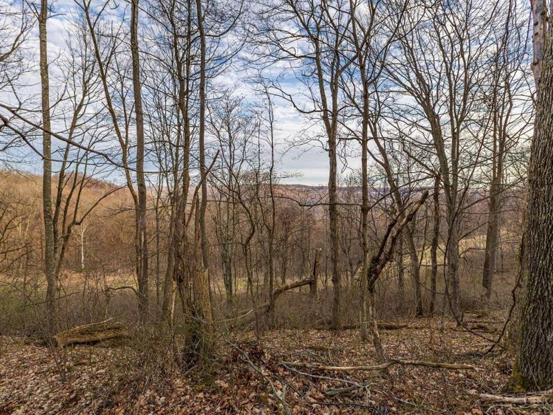 1054 Coon Hollow Road, Blue Creek, OH 45616 Photo 24