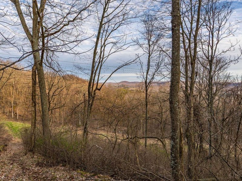 1054 Coon Hollow Road, Blue Creek, OH 45616 Photo 25