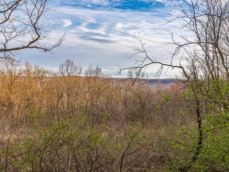 1054 Coon Hollow Road, Blue Creek, OH 45616 Photo 26