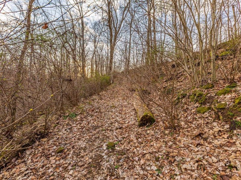 1054 Coon Hollow Road, Blue Creek, OH 45616 Photo 27