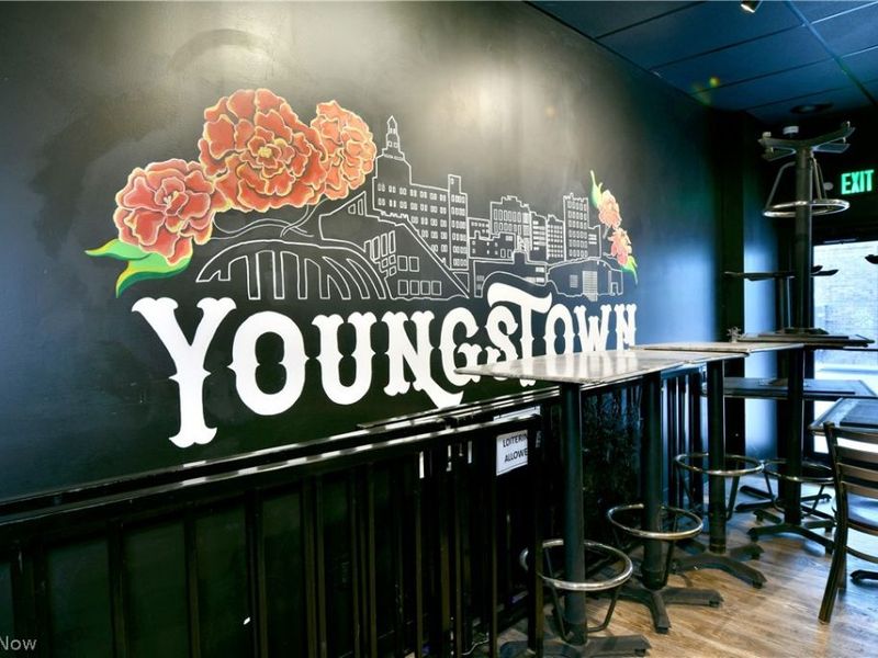 24 N Phelps Street, Youngstown, OH 44503 Photo 26