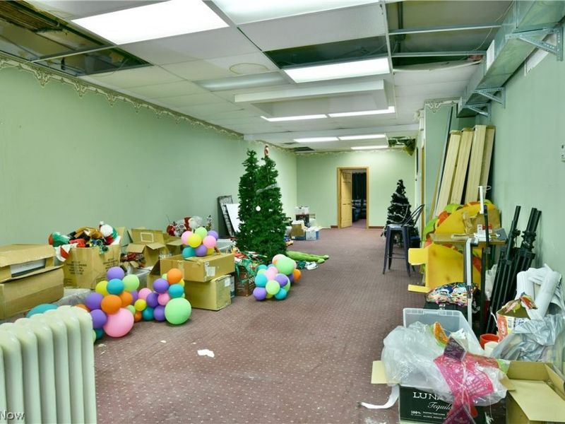 24 N Phelps Street, Youngstown, OH 44503 Photo 36