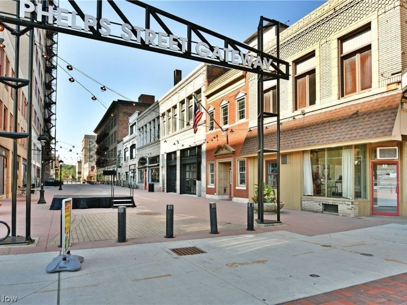 24 N Phelps Street, Youngstown, OH 44503 Photo 46