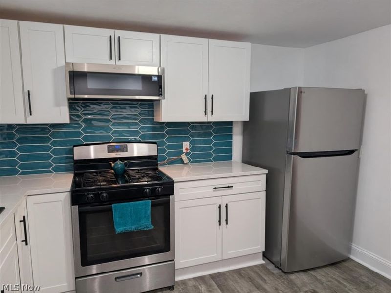 168 E Hamilton Street, Oberlin, OH 44074 Photo 12