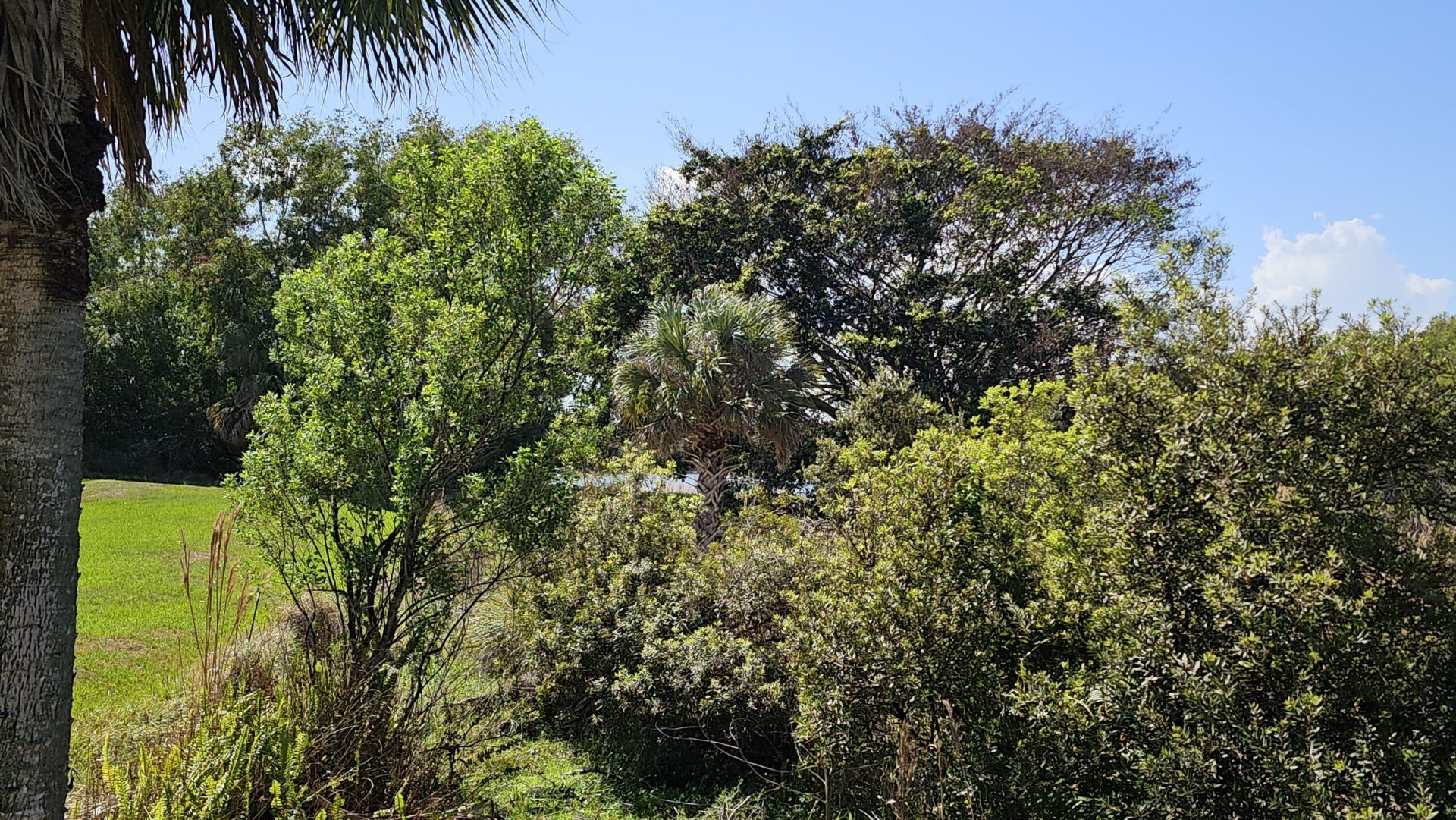 7960 SE Peppercorn Court, Hobe Sound, FL 33455 Photo