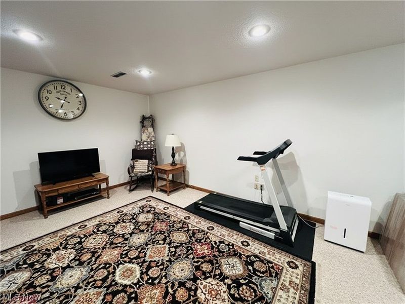 2484 Fox Wood Drive, Ashland, OH 44805 Photo 36