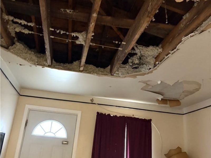 969 Evangeline Road, Cleveland, OH 44110 Photo 26