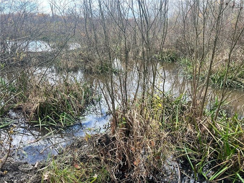 Marrian Road, Dorset, OH 44032 Photo 10