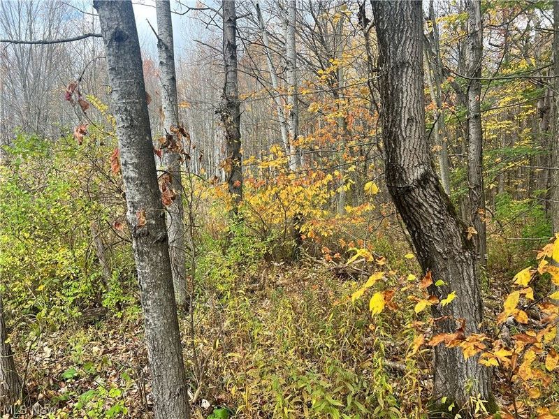 Marrian Road, Dorset, OH 44032 Photo 11