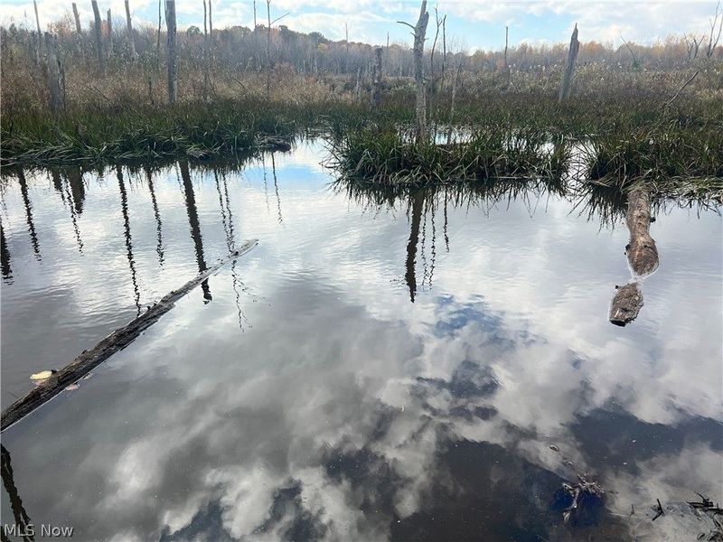 Marrian Road, Dorset, OH 44032 Photo 14