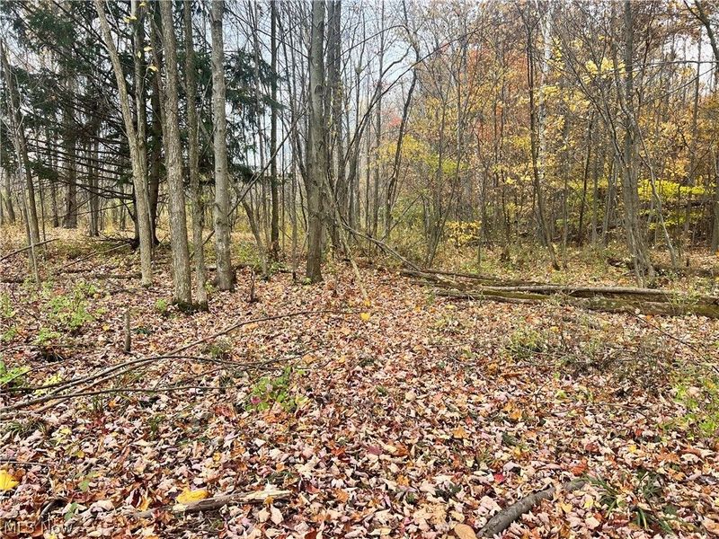 Marrian Road, Dorset, OH 44032 Photo 17