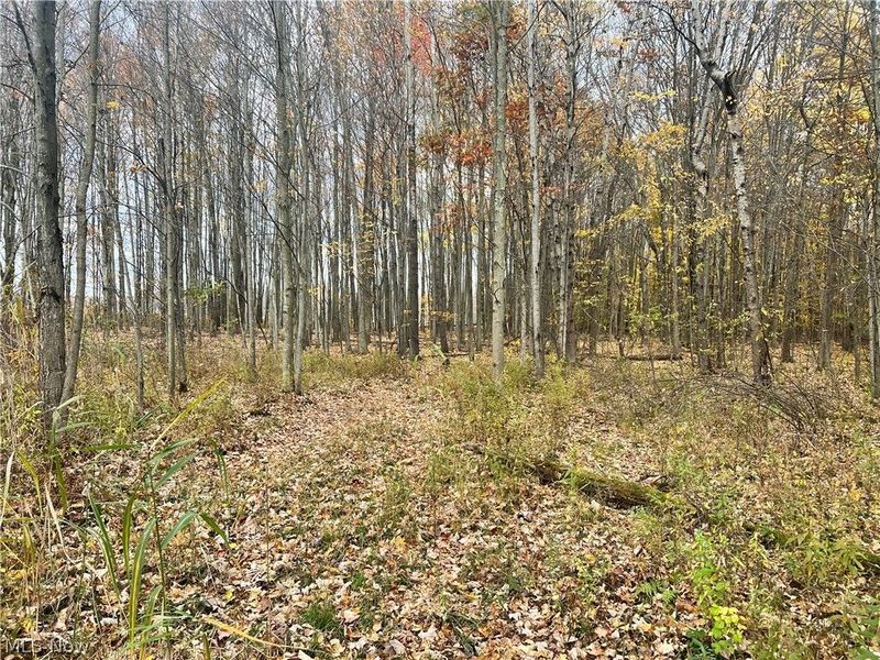 Marrian Road, Dorset, OH 44032 Photo 19