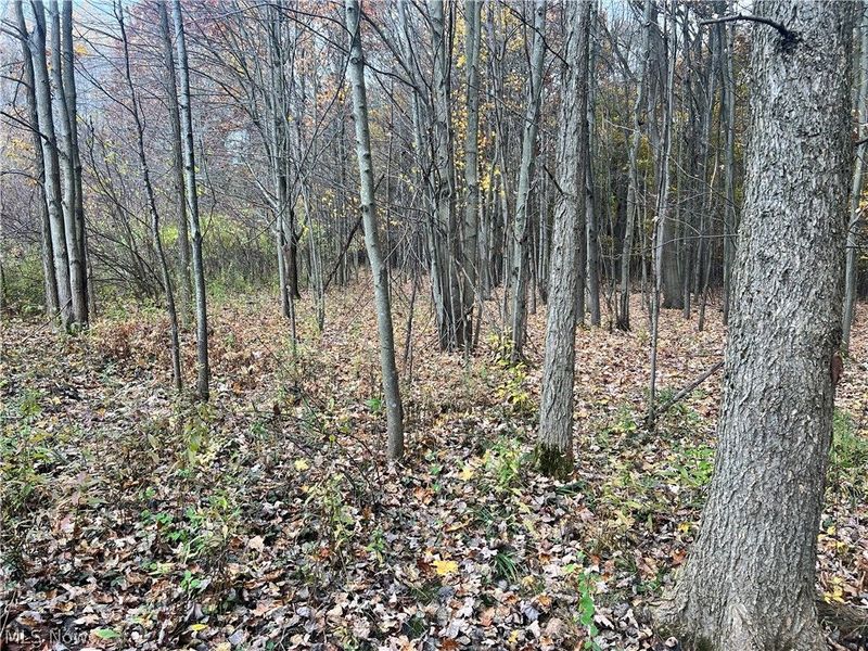 Marrian Road, Dorset, OH 44032 Photo 2