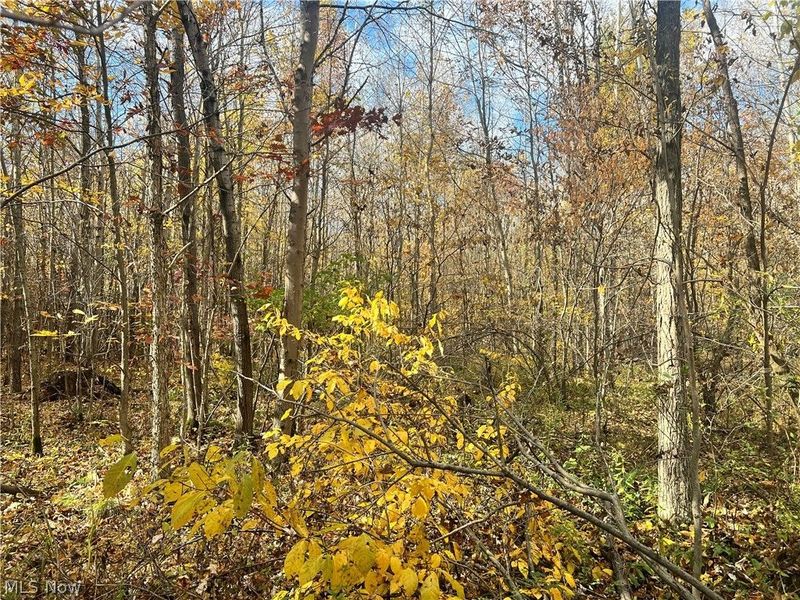 Marrian Road, Dorset, OH 44032 Photo 20