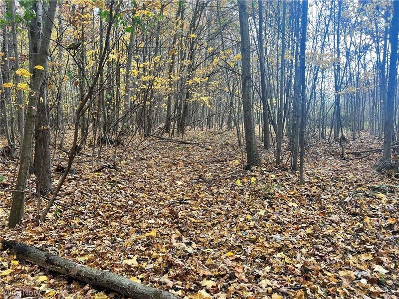 Marrian Road, Dorset, OH 44032 Photo 21