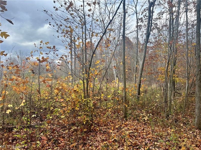 Marrian Road, Dorset, OH 44032 Photo 22