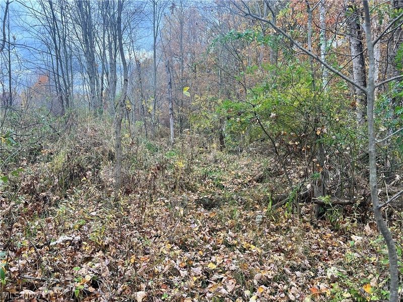 Marrian Road, Dorset, OH 44032 Photo 23