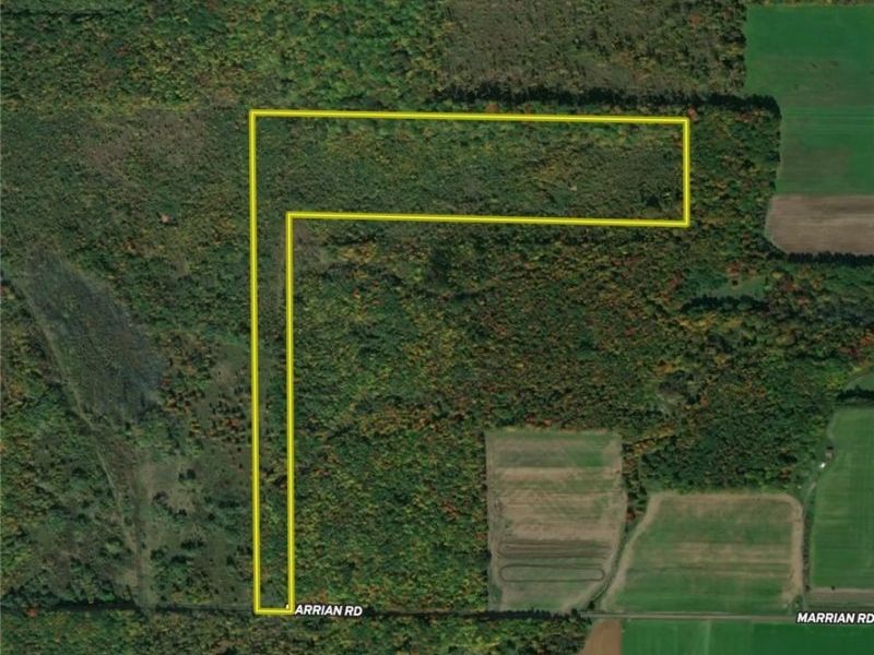 Marrian Road, Dorset, OH 44032 Photo 26