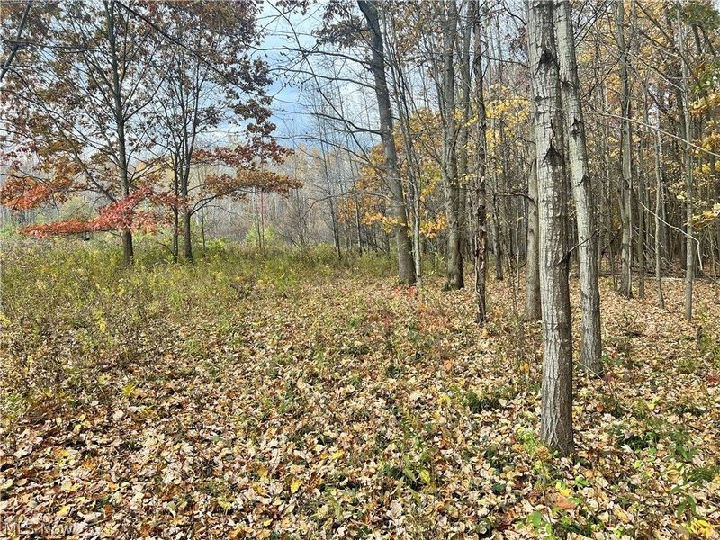 Marrian Road, Dorset, OH 44032 Photo 3