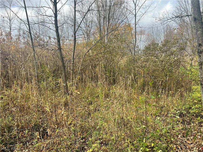 Marrian Road, Dorset, OH 44032 Photo 6