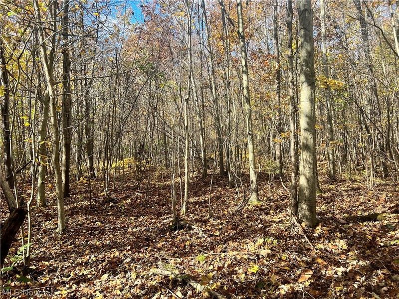 Marrian Road, Dorset, OH 44032 Photo 7