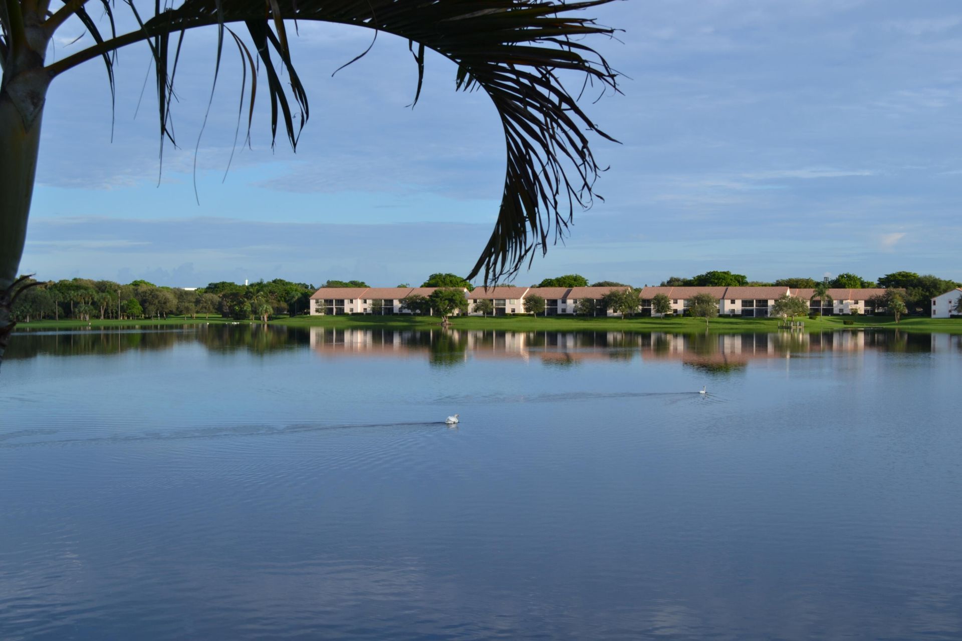 3191 Leewood Terrace, Unit L237, Boca Raton, FL 33431 Photo