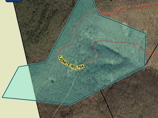 4001 Lignite RD, Eagle Rock, VA 24085