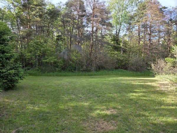 1138 N Thornapple Avenue, White Cloud, MI 49349