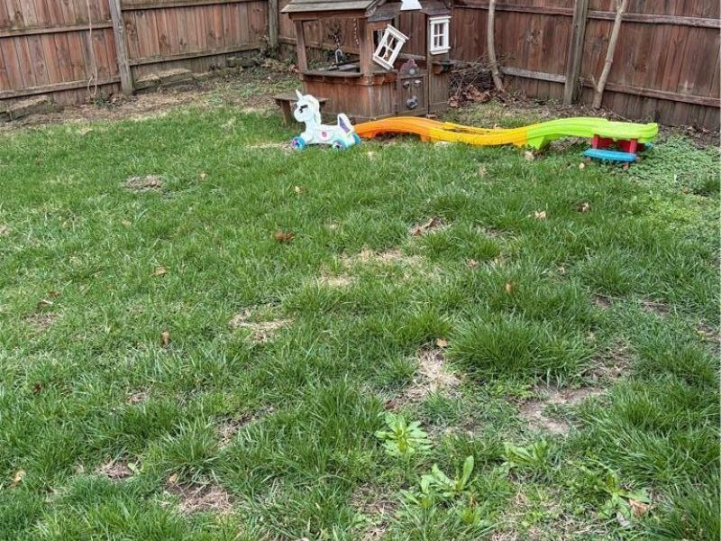 113 Grove Road, Medway, OH 45341 Photo 2