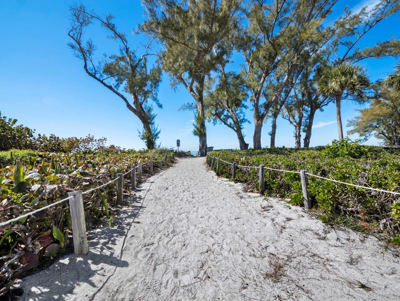5055 Gulf Of Mexico Drive , Unit 421, Longboat Key, FL 34228 Photo