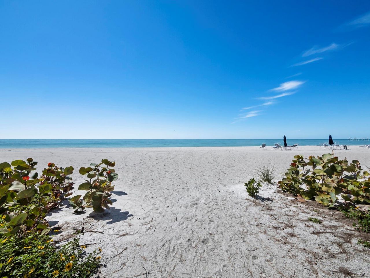 5055 Gulf Of Mexico Drive , Unit 421, Longboat Key, FL 34228 Photo