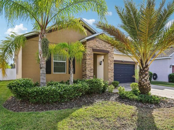 11767 WINTERSET COVE DRIVE, RIVERVIEW, FL 33579