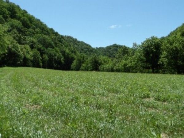 5155 Brimstone Creek Rd , Moss, TN 38575