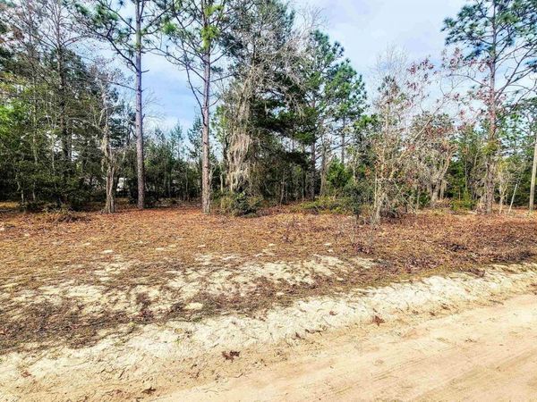 Caribbean St, Interlachen, FL 32148